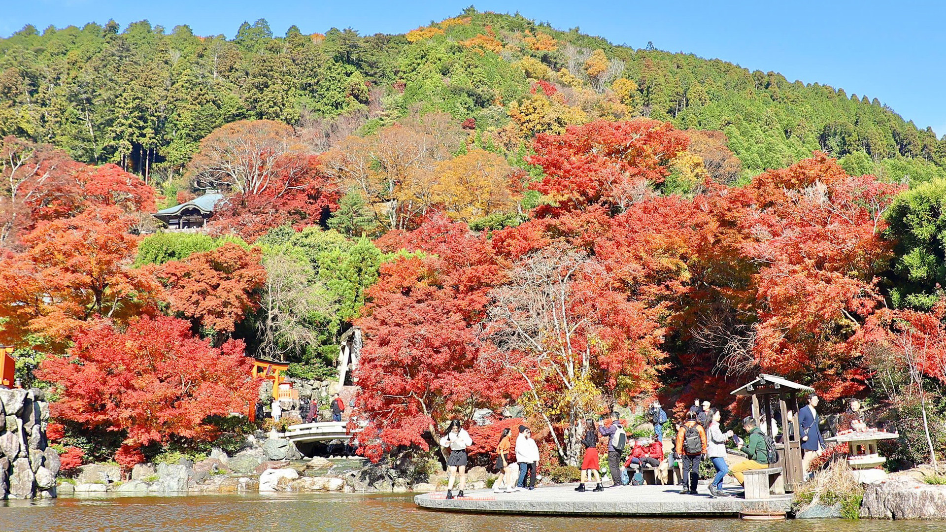 Đến Nhật Bản, ngắm cảnh sắc mùa thu lá đỏ, lá vàng đẹp như tranh vẽ