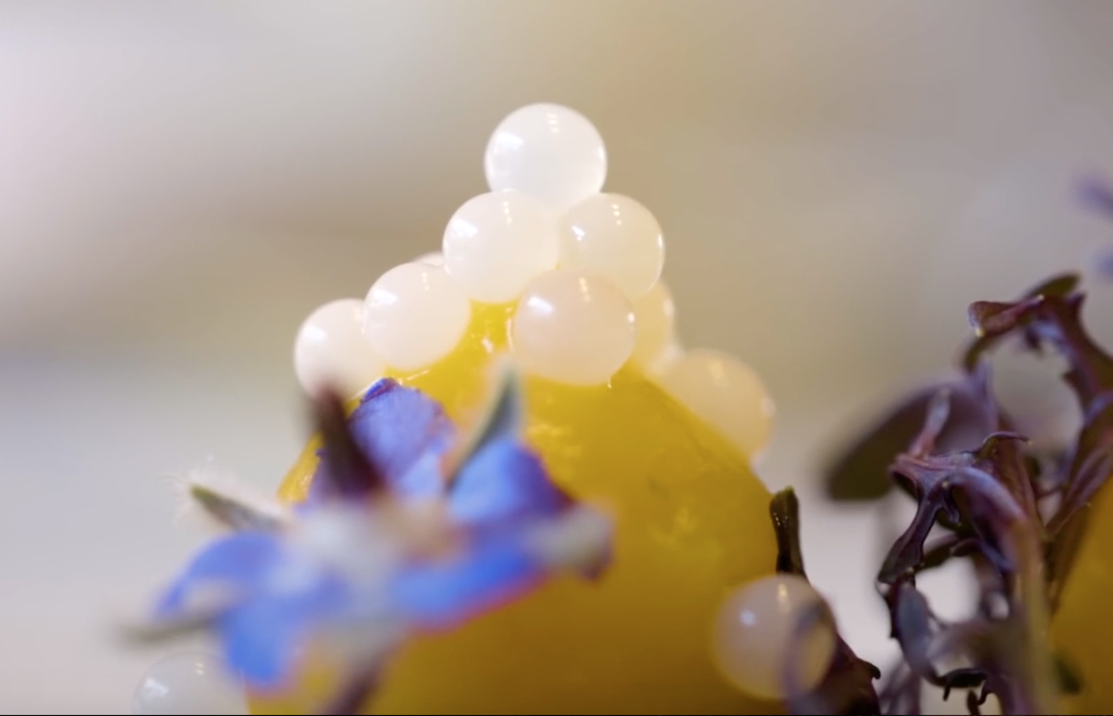 Video: Cận cảnh món trứng ốc sên đắt đỏ của người Pháp