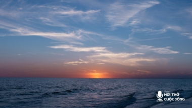 Tử tế là kỹ năng để chúng ta sống bản lĩnh và an toàn hơn