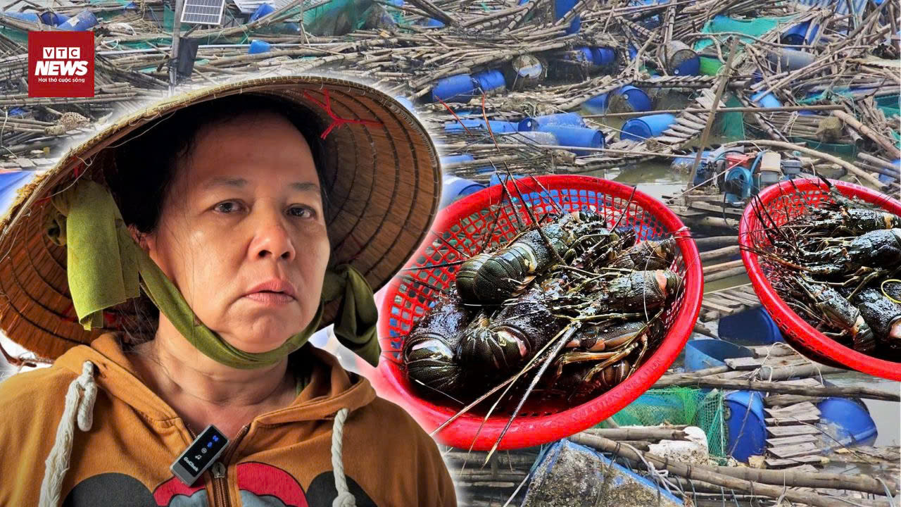 Mưa lũ miền Trung: 2.400 tỷ đồng bị cuốn trôi, người nuôi tôm trắng tay