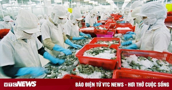 vtcnews.vn
