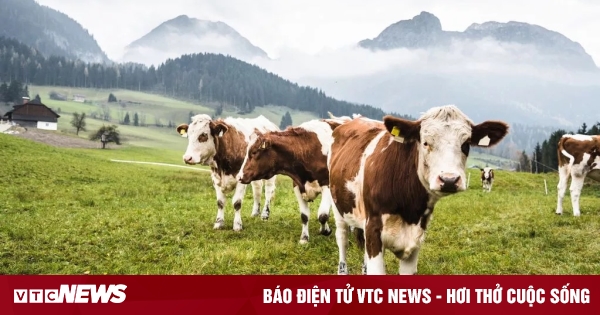 vtcnews.vn