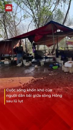 Cuộc sống khốn khó của người dân bãi giữa sông Hồng sau lũ lụt 