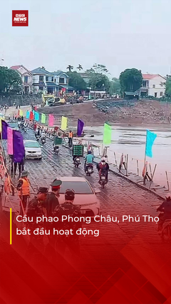 Các phương tiện nườm nượp qua cầu phao Phong Châu, Phú Thọ