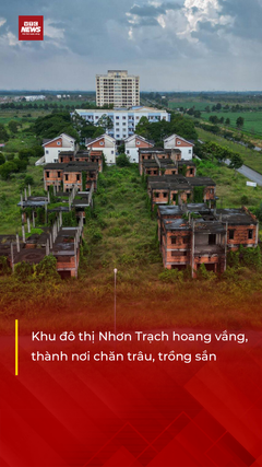 Khu đô thị mới Nhơn Trạch hoang vắng, thành nơi chăn trâu, trồng sắn