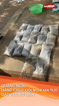 Hàng chục gói thảo mộc khô nghi ma tuý dạt vào bờ biển Quảng Ngãi 