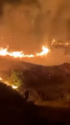 Hàng trăm người nỗ lực dập tắt đám cháy rừng gần chùa Phật Tích