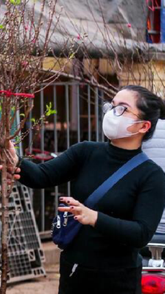 Dự báo thời tiết 3 miền dịp Tết Nguyên đán Ất Tỵ 2025