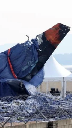 Tìm thấy lông chim và máu trong động cơ máy bay Jeju Air gặp nạn ở Hàn Quốc 