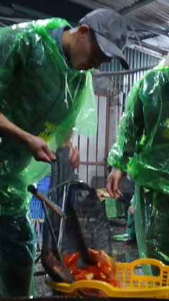 Nhộn nhịp cảnh mua bán cá chép đỏ sát ngày cúng ông Công, ông Táo