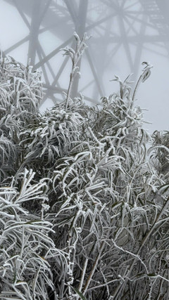 Tuyết rơi dày phủ trắng đỉnh Fansipan 