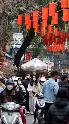 Sắc đào nhuộm thắm chợ hoa Hà Nội ngày sát Tết Ất Tỵ