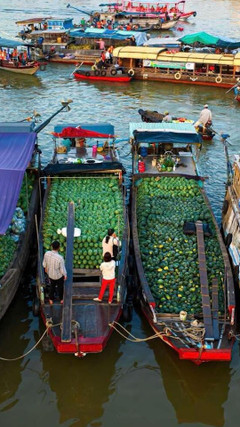 Chợ nổi Cái Răng rực rỡ ngày Tết