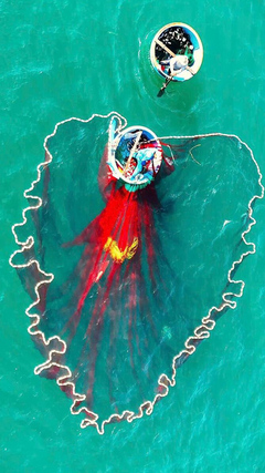 Ngư dân tung lưới đánh cá đầy 'ảo diệu' ở Bình Định