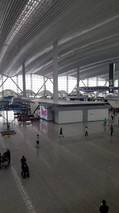 Thanh niên ở Huế mất liên lạc khi xuất cảnh ra nước ngoài