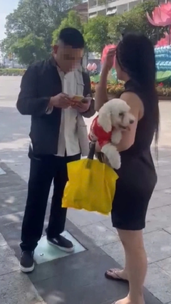 Thanh niên thả rông chó, đánh trọng thương bảo vệ phố đi bộ Nguyễn Huệ bị bắt