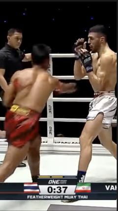 Võ sĩ Muay Thái tung đòn chỏ như tên bắn hạ gục đối thủ 