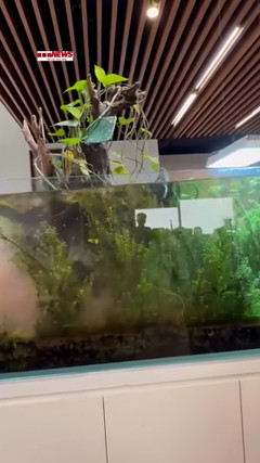 Động đất ở Hà Nội, TP.HCM, nhiều nhà cao tầng rung lắc mạnh