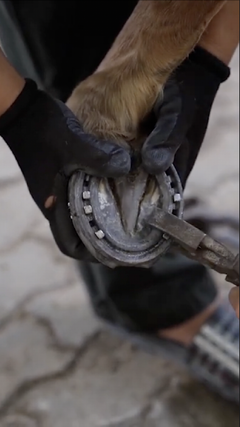 Bí ẩn sau bước chân thép: Khâu chuẩn bị quan trọng mừng Đại lễ 30/4 