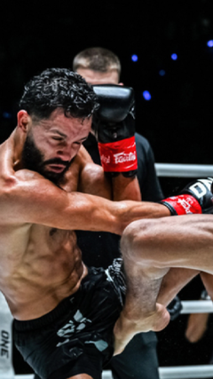 Võ sĩ Muay Thái tung đòn trúng chỗ hiểm, trọng tài hủy bỏ trận đấu