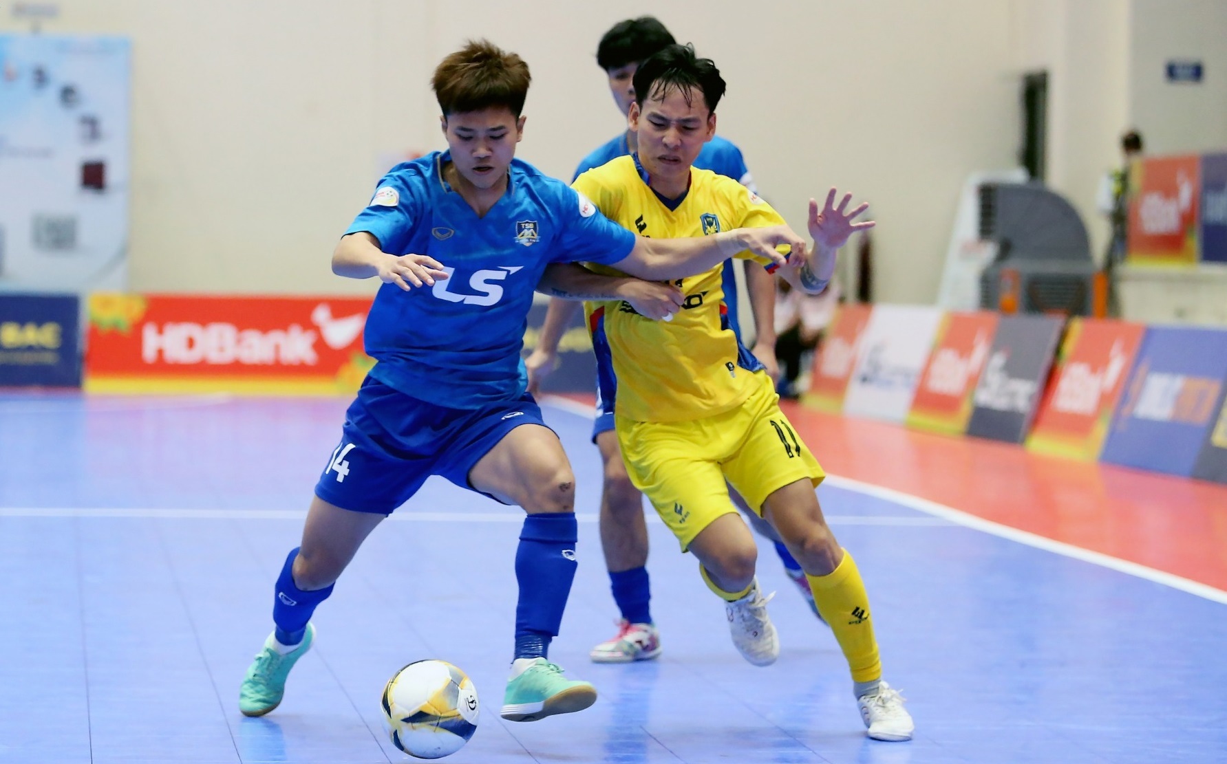 Trực tiếp Futsal HDBank VĐQG 2025: Thái Sơn Bắc vs Luxury Hạ Long
