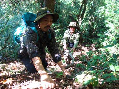 Lương y nổi danh tặng miễn phí thuốc chữa khỏi dạ dày cho người bệnh khắp cả nước