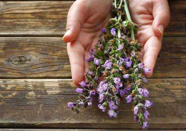 Mỹ phẩm thiên nhiên – lựa chọn thông minh, an toàn cho người tiêu dùng