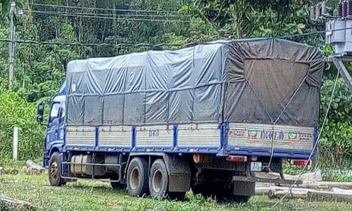 Bắt giữ xe tải vận chuyển hơn 800 khúc gỗ trắc trái phép ở Quảng Nam