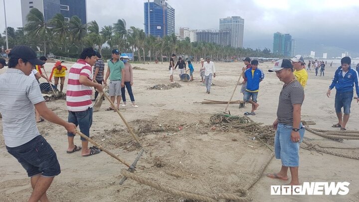 Hàng trăm người dọn hàng chục tấn rác ven biển Đà Nẵng