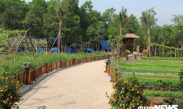 Cưỡng chế tháo dỡ khu nghỉ dưỡng trái phép giữa rừng ở Quảng Nam