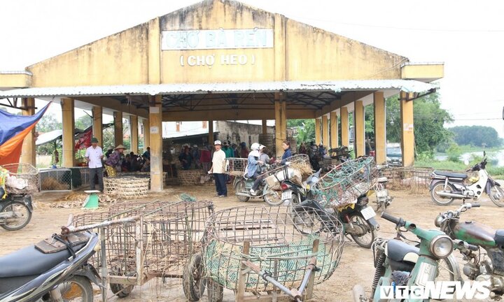 Ảnh: Trước ‘cơn bão’ dịch tả lợn, chợ heo lớn nhất Việt Nam lâm cảnh lao đao