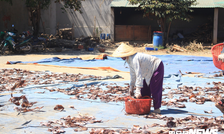 Những chuyến vươn khơi chan đầy nước mắt của ngư dân miền Trung