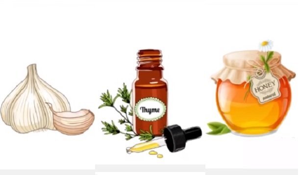 3 loại 'kháng sinh' hiệu quả trong tự nhiên