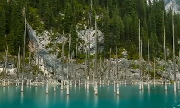 Khám phá thế giới siêu thực ở hồ cây mọc ngược lạ kỳ