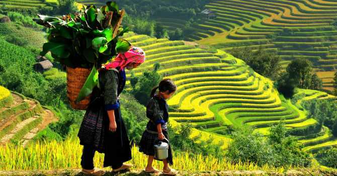 Sắp có công viên Disneylandở Sapa