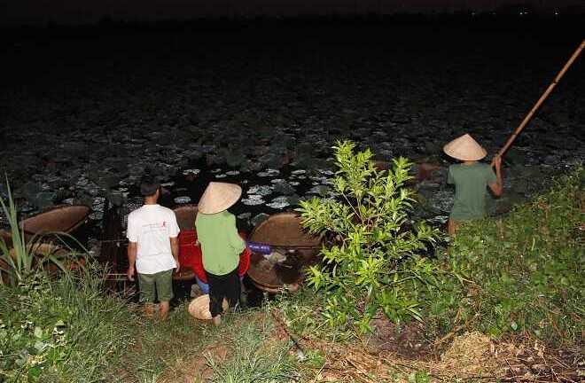 Trà cổ Hà Nội ướp từ sen có giá 7 triệu/kg có gì đặc biệt?