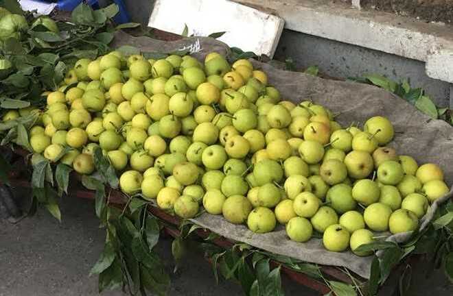 Rẻ hơn lê Trung Quốc, lê siêu ngọt dạt khắp vỉa hè Hà Nội