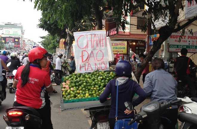 Bán dạo chanh đào miền Bắc tại Sài Gòn kiếm tiền triệu mỗi ngày