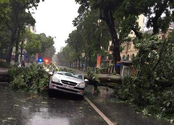 Lái ô tô dưới mưa bão thế nào để an toàn?