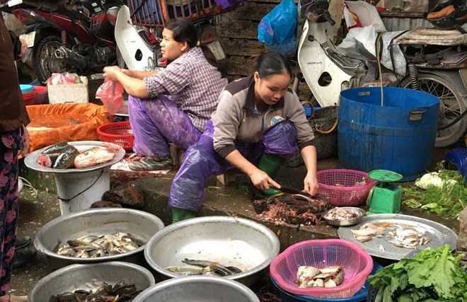 Nửa triệu 1kg bong bóng cá, dân Hà Nội lùng khắp chợ mua