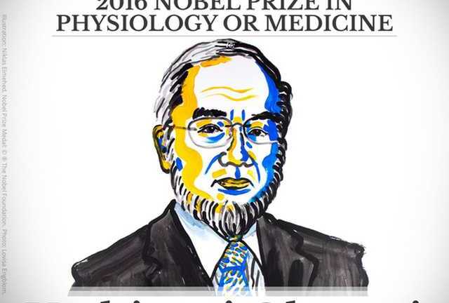 Nobel Y học về tay người Nhật