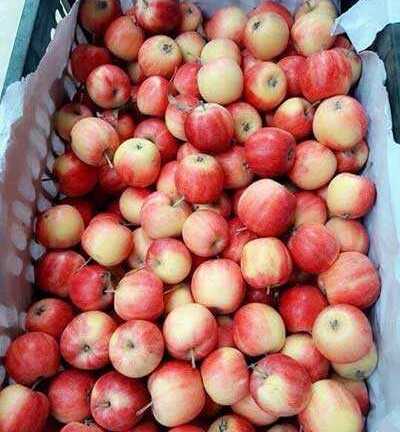 Táo Trung Quốc đội lốt táo Hà Giang đổ đống tại Hà Nội