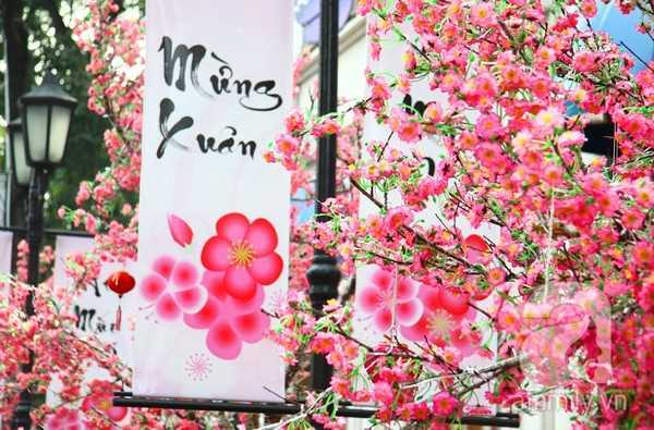 Gộp Tết Âm lịch vào Tết Dương lịch: ‘Vẫn vui như Tết’