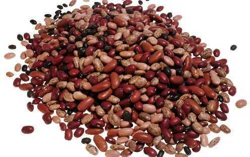 Lại thêm bài toán nhặt đậu thách thức suy luận