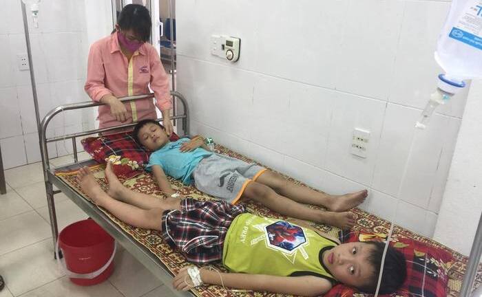 Hơn 50 học sinh tiểu học bị ngộ độc vì ăn quả ngô đồng