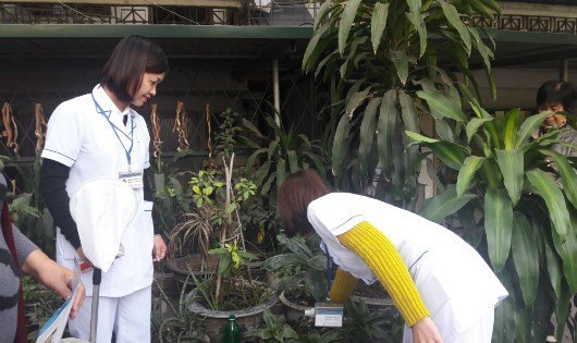 Sốt xuất huyết gia tăng, nhiều bệnh nhân vẫn chủ quan