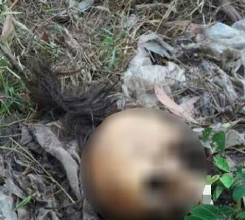 Tình tiết mới việc thi thể người chỉ còn xương, tóc ở Vũng Tàu