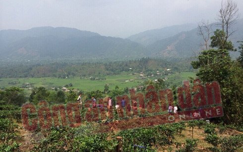 Thi thể phụ nữ bị trói hai tay vào gốc cây trên đồi chè ở Hà Giang