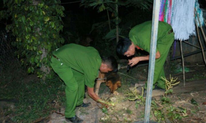 Ôm ấp, hôn nhau trong hẻm, chàng trai bị bố bạn gái truy sát, đâm gục
