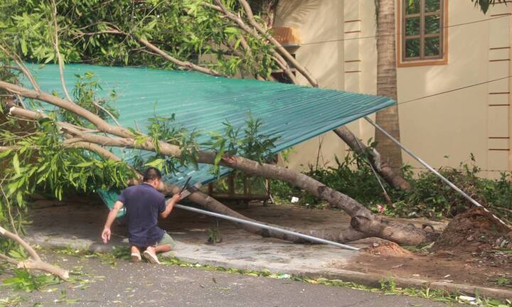  Trưởng thôn tử nạn trong lúc khắc phục hậu quả bão số 10 ở Hà Tĩnh